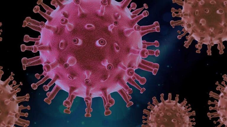 Covid-19 - coronavirus