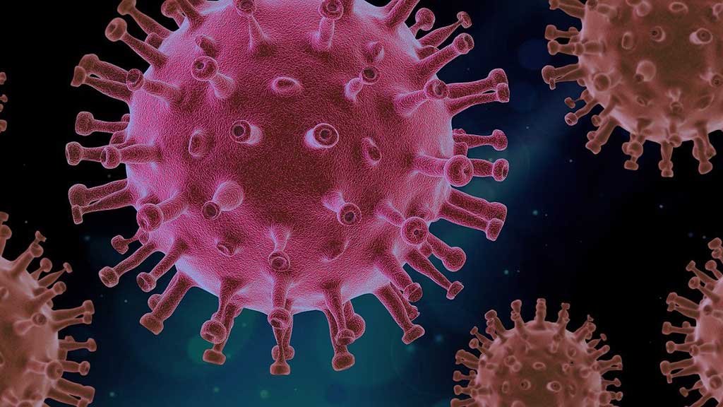 Covid-19 - coronavirus