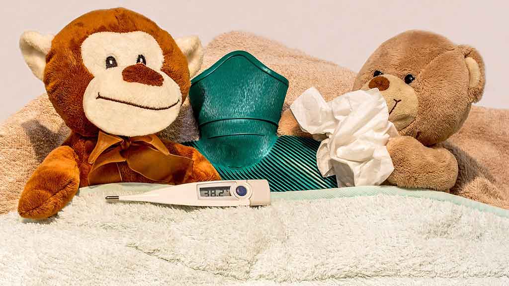 Monkey and Teddy with Colds